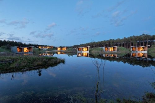 Eco Lodges Sur Pilotis Dans Les Landes