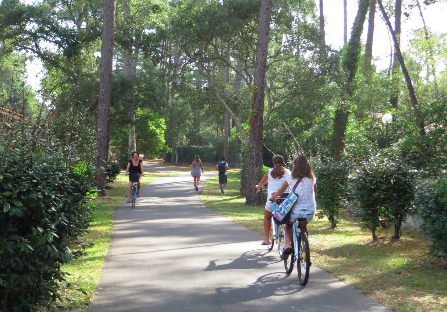Les Landes à Vélo